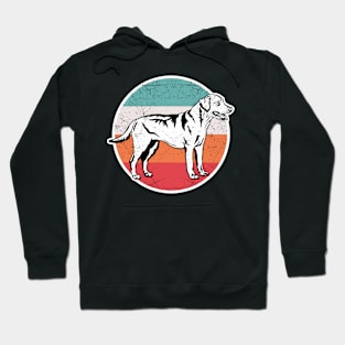 Vintage Retro Labrador Hoodie